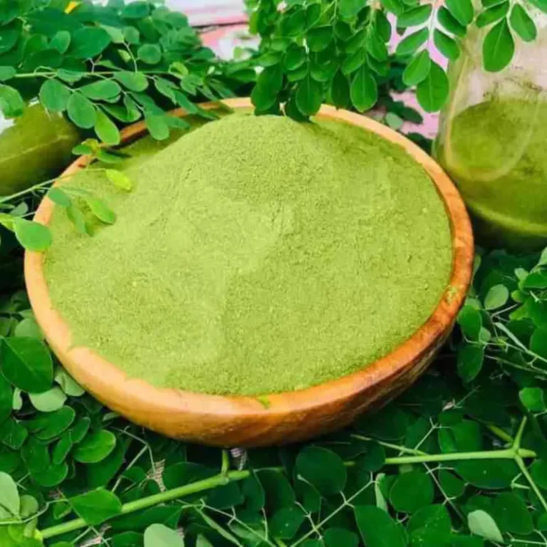 সজিনা পাতা গুড়া (Moringa Powder)