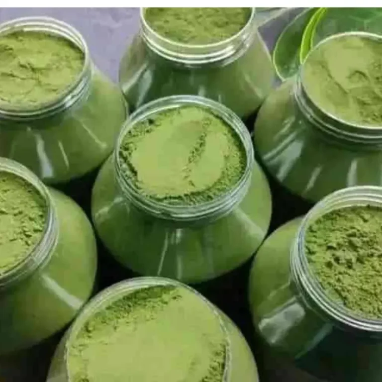 সজিনা পাতা গুড়া (Moringa Powder)